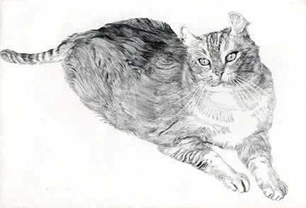 ねこ