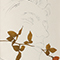 A Gold Book (手彩色#18)