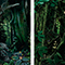 Study in Green #10, #18