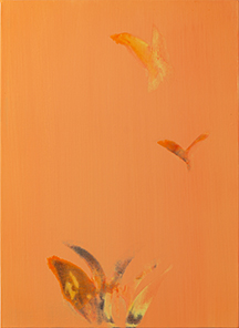 尾形 純 Jun Ogata シャドウオブフラワー | BROWSE | Walls Tokyo 