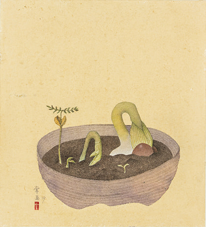 芽ノ芽幻視　丸イ鉢Ⅰ