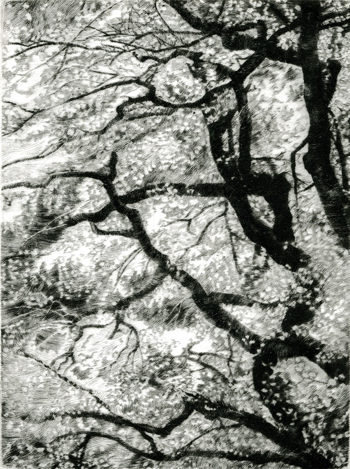 花吹雪