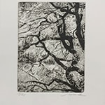花吹雪