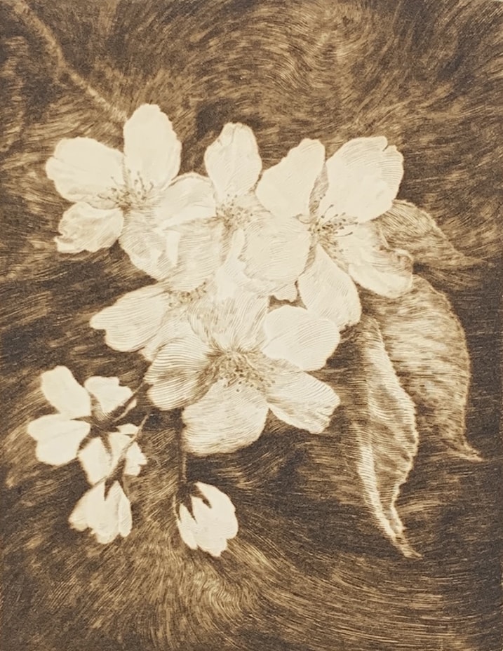 桜の花