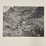 高山の花