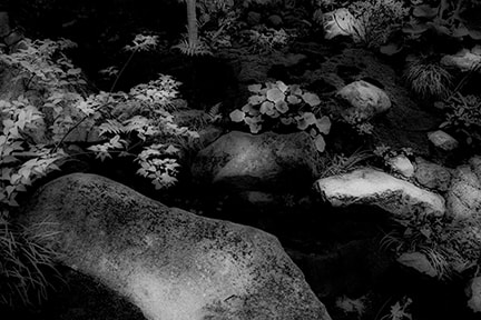 尾形 純 Jun Ogata White Shadow | ONLINE STORE | Walls Tokyo