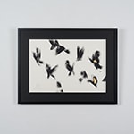 Fly