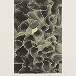Untitled 2003-