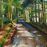 こもれびのつづく道