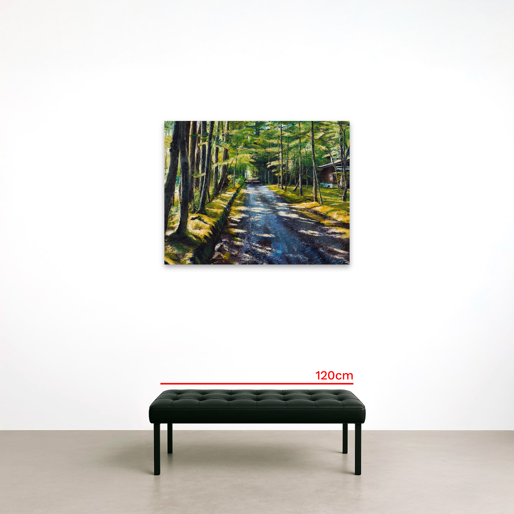 朝のひかりさすこもれびの小道