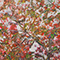 After blooming#01