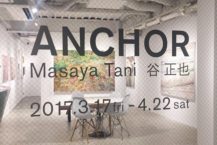 谷 正也 Masaya Tani | Introducting Artists | Walls Tokyo